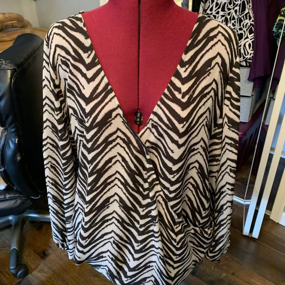 Zebra stripped billowing blouse.